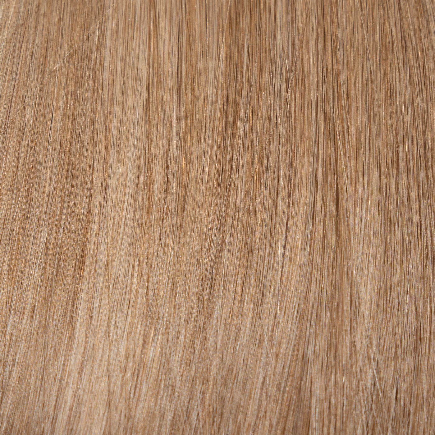 Wildwood 22" Nano Hair Pro